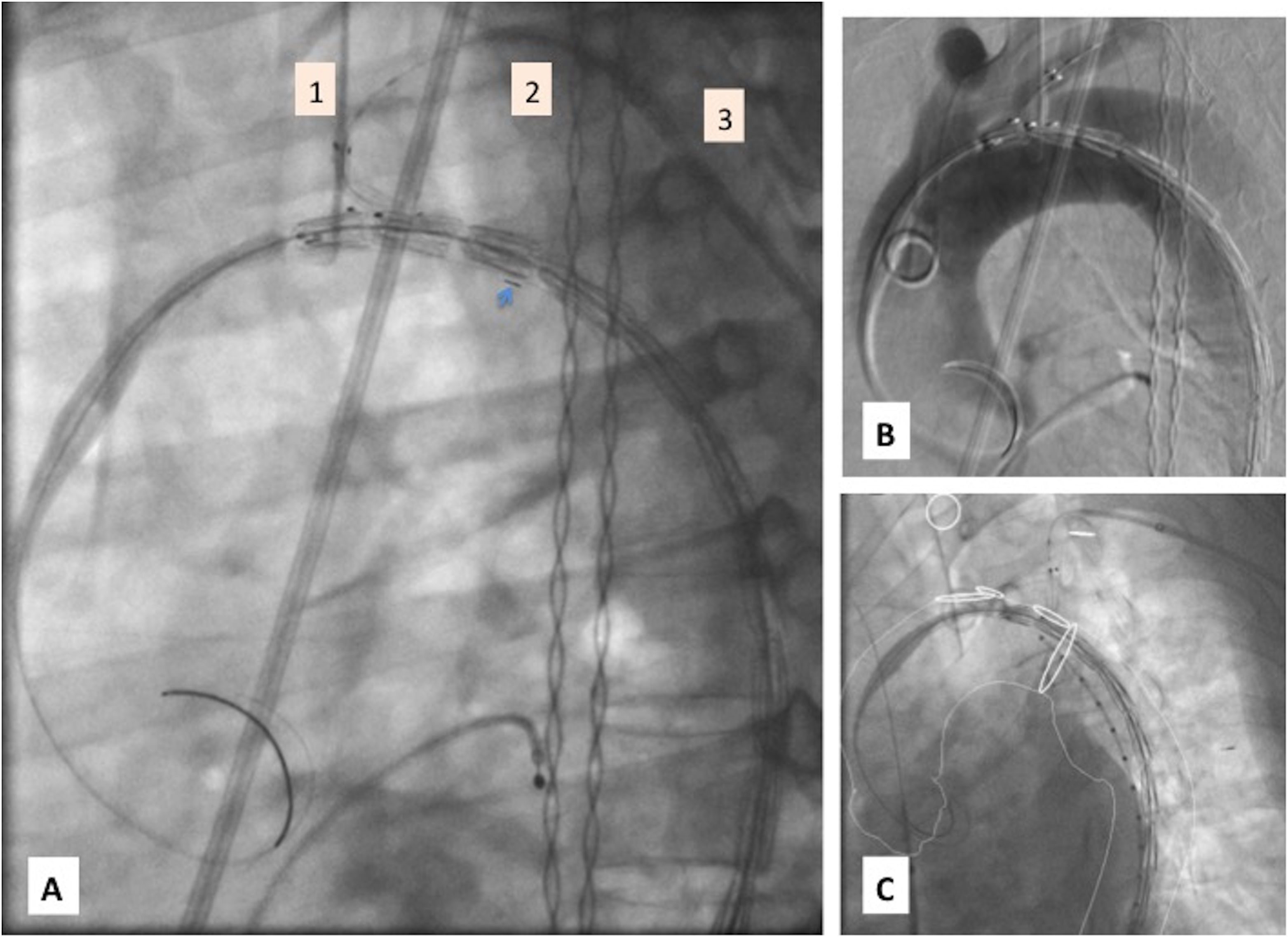fig0015