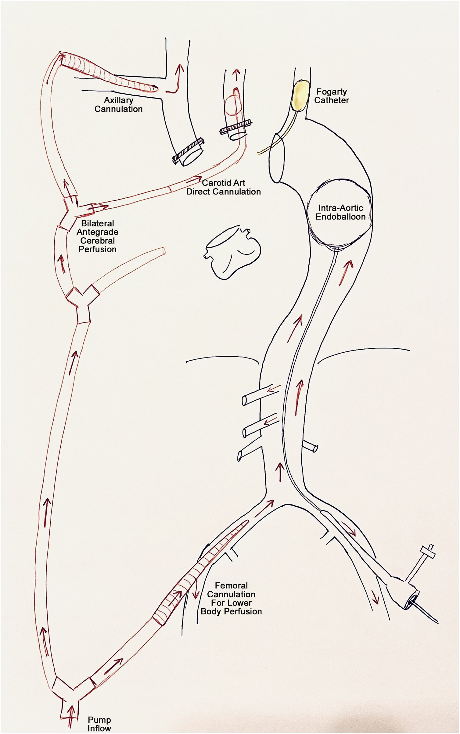 fig0005