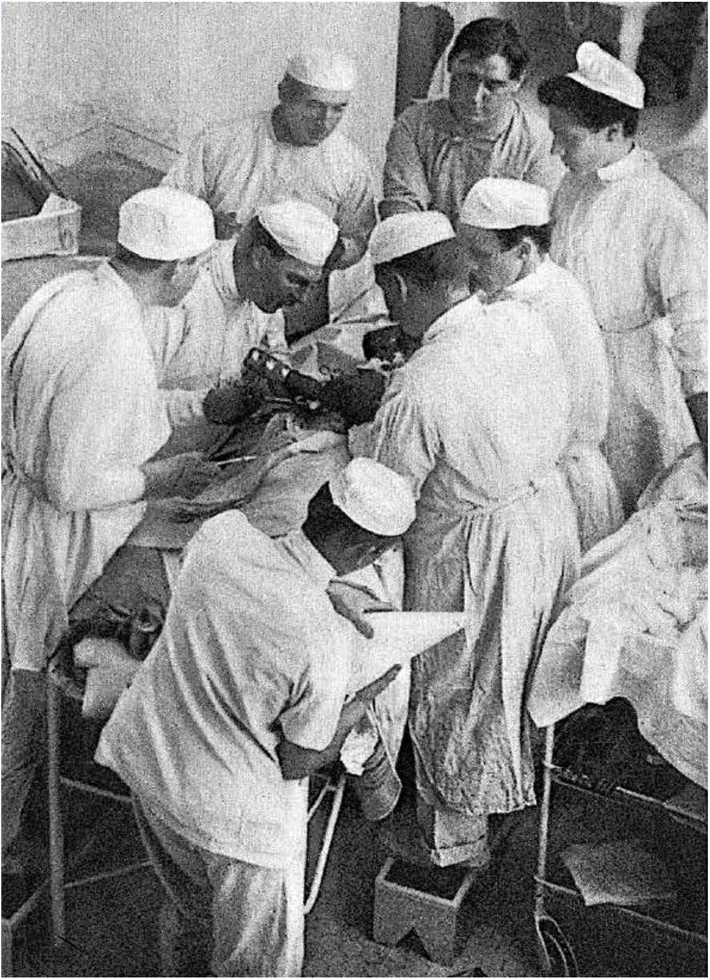 fig0005