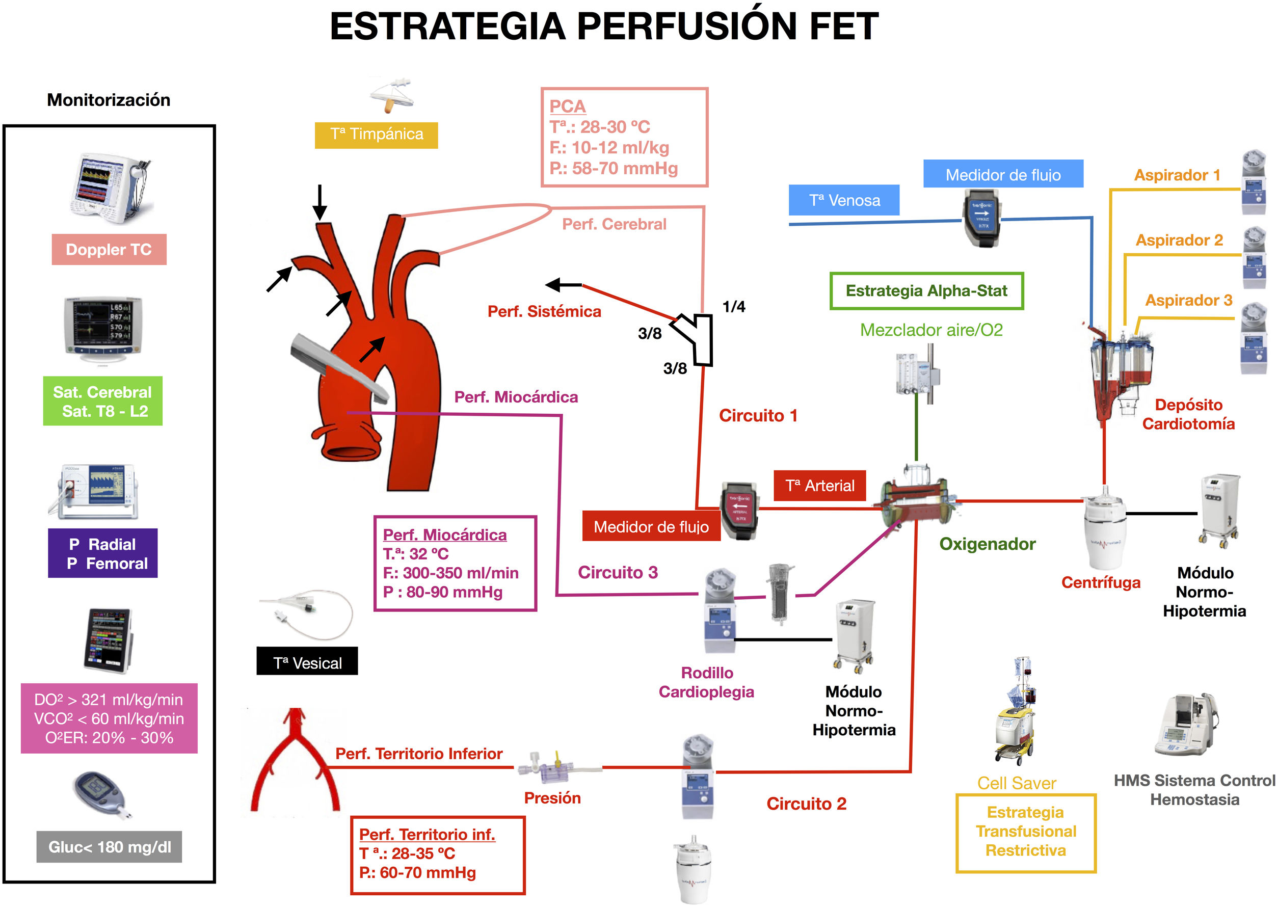 fig0005