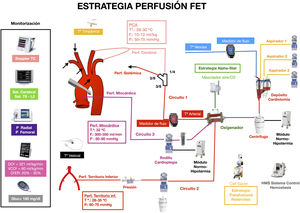 Circuito de TEC a corazón latiendo. Circuitos que permiten perfusión cerebral, coronaria y periférica simultáneas e independientes: Circuito 1: Perfusión sistémica a través de línea arterial con bomba centrífuga en zona de canulación seleccionada. Esta línea se bifurca para perfusión cerebral anterógrada selectiva. Monitorización independiente de flujo, presión y temperatura. Circuito 2: Perfusión territorio inferior a partir de línea obtenida de la recirculación del oxigenador conectada a acceso femoral, con bomba centrífuga o rodillo. Monitorización de presión y flujo independiente. Temperatura idéntica a la sistémica/cerebral. Circuito 3: Perfusión coronaria continua hemática vía anterógrada a través de cánula en raíz aórtica y aspiración en vena pulmonar derecha, utilizando el sistema y rodillo de la cardioplejía. Monitorización independiente de presión, flujo y temperatura. DO2: aporte de oxígeno; Doppler TC: Doppler transcraneal; F: flujo; Gluc: glucemia; O2ER: tasa de extracción de oxígeno; P: presión; PCA: perfusión cerebral anterógrada; Perf: perfusión; Sat.: saturación; Tª: temperatura; VCO2: producción de dióxido de carbono.