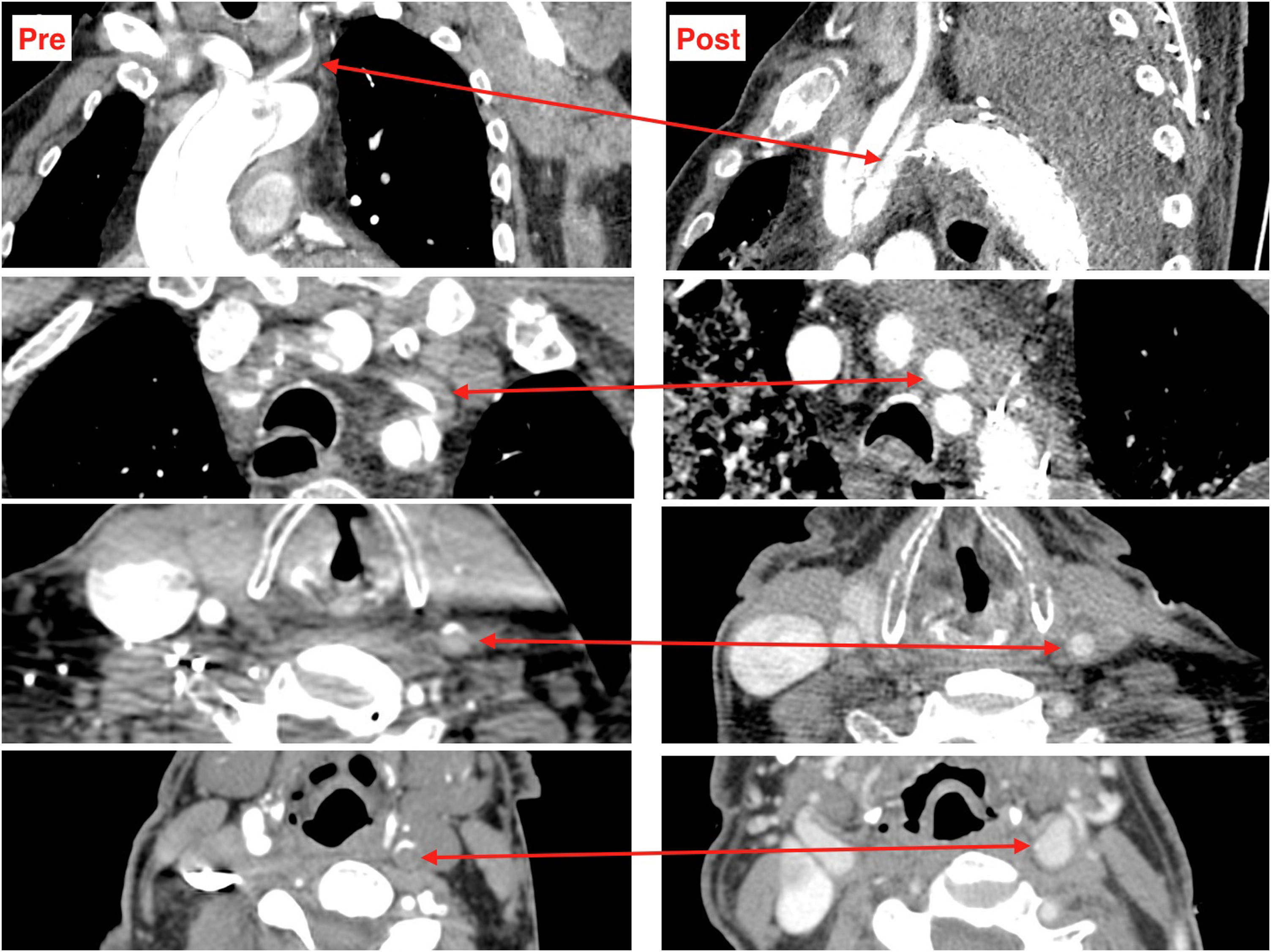 fig0015