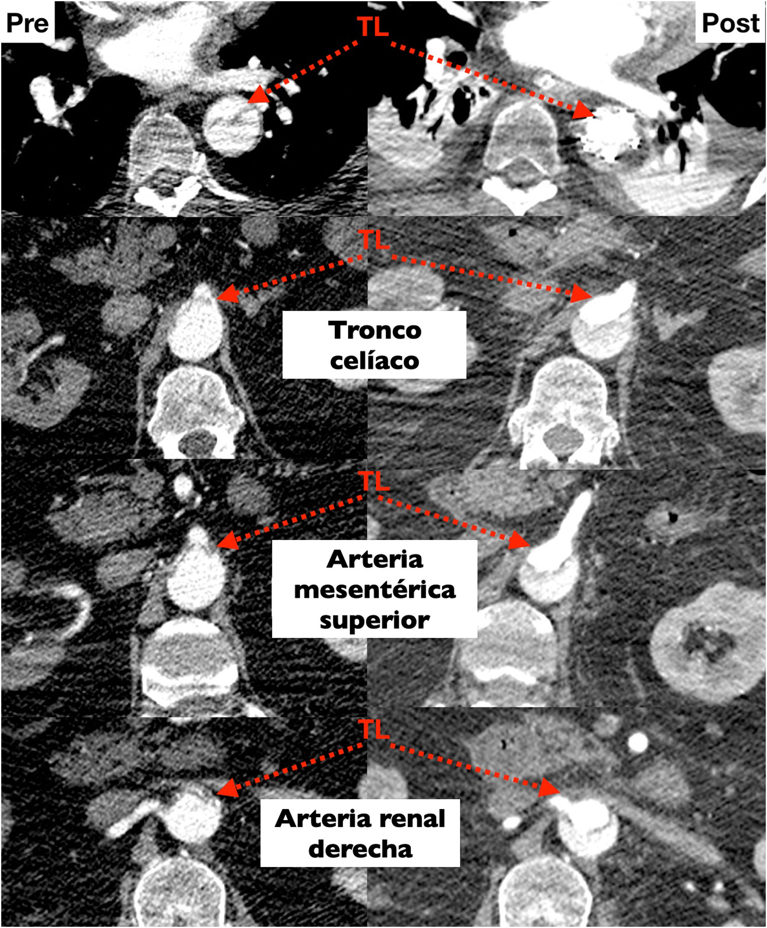 fig0020