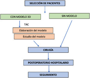 Diagrama de flujo de la secuencia de los pacientes. Tras la aceptación de la miectomía quirúrgica, los pacientes se dividen en 2grupos en función de si van a contar con un modelo 3D.