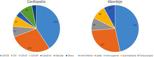 Distribución por cardiopatías y abordajes.