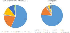Distribución por cardiopatías en miniesternotomía inferior y acceso axilar.