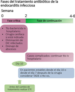 Fases del tratamiento antibiótico de la endocarditis infecciosa. DEC: dispositivos de estimulación cardiaca; TADE: tratamiento antibiótico domiciliario endovenoso; ETE: ecocardiografía transesofágica. Adaptado de Delgado et al.15.