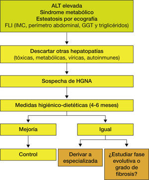 Algoritmo diagnóstico. Algoritmo diagnóstico.