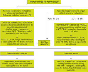 Algoritmo de actuación ante un paciente con hígado graso no alcohólico. Algoritmo de actuación ante un paciente con hígado graso no alcohólico.