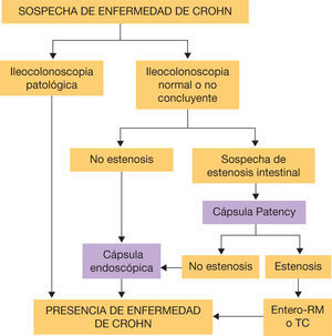 Algoritmo diagnóstico de la cápsula endoscópica en la sospecha de enfermedad de Crohn. Algoritmo diagnóstico de la cápsula endoscópica en la sospecha de enfermedad de Crohn.