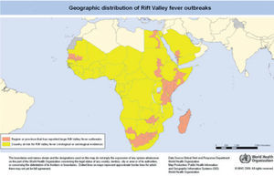 Mapa de distribución de brotes de fiebre del valle del Rift (OMS 2008). En amarillo: países en riesgo por evidencia virológica o serológica; naranja: países que han presentado brotes. No se han notificado brotes en áreas urbanas. Disponible en: http://www.who.int/csr/disease/riftvalleyfev/Global_RVF_20090908.png?ua=1