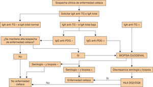 Algoritmo diagnóstico de la enfermedad celíaca. IgA anti-TG: anticuerpo IgA antitransglutaminasa; IgG anti-PDG: anticuerpo IgG antipéptidos deaminados de la gliadina. Algoritmo diagnóstico de la enfermedad celíaca. IgA anti-TG: anticuerpo IgA antitransglutaminasa; IgG anti-PDG: anticuerpo IgG antipéptidos deaminados de la gliadina.