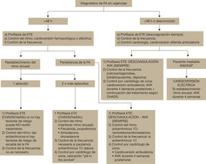 Algoritmo de actuación ante una fibrilación auricular. AVC: accidente cerebrovascular; AVK: antivitamina K; EAP: edema agudo de pulmón; ETE: enfermerdad tromboembólica; IAM: infarto agudo de miocardio. Algoritmo de actuación ante una fibrilación auricular. AVC: accidente cerebrovascular; AVK: antivitamina K; EAP: edema agudo de pulmón; ETE: enfermerdad tromboembólica; IAM: infarto agudo de miocardio.