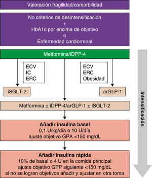 Estrategia para el inicio e intensificación del tratamiento hipoglucemiante y la terapia con pautas complejas de insulina. arGLP-1: agonistas del receptor de la GLP-1; ECV: enfermedad cardiovascular; ERC: enfermedad renal crónica; GPA: glucemia plasmática en ayunas; GPP: glucemia plasmática preprandial; IC: insuficiencia cardíaca; iDPP-4: inhibidores de la DPP-4; iSGLT-2: inhibidores de la SGLT-2.