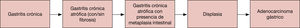 Figura 1