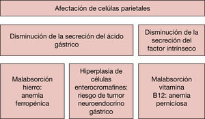 Figura 2