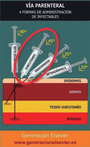 Figura 1