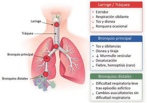 Figura 4