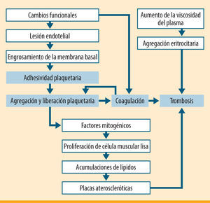 Participación de factores hemorreológicos y hemostáticos en el desarrollo de la lesión aterosclerótica