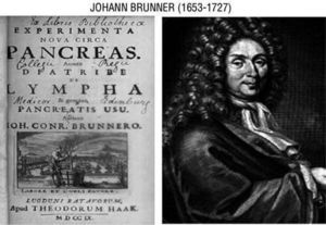 Johan Brunner (1653-1727) observed extreme thirst and polyuria in pancreatectomized dogs (1709).