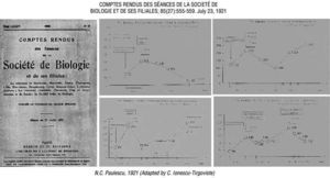 Nicolae C. Paulescu published in 1921 most comprehensive evidence regarding the actions of the pancreatic antidiabetic hormone (pancreine). Adapted by C. Ionescu-Tirgoviste18.