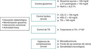 Objetivos de control en la diabetes tipo 2 en la edad pediátrica.