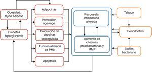 Esquema de los mecanismos de interacción entre diabetes y periodontitis. Modificado de Preshaw et al.3.