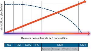 Evolución de la variabilidad glucémica en función de la funcionalidad posprandial de la célula beta pancreática (reserva de insulina endógena). ADO: antidiabéticos orales; DM1: diabetes mellitus tipo1; DM2: diabetes mellitus tipo2; GAA: glucemia alterada en ayunas; IHC: intolerancia a los hidratos de carbono; NG: normoglucemia; SM: síndrome metabólico-resistencia a la insulina. De Borg et al.9, Madhu et al.10 y Kohnert et al.11.
