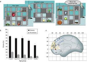 Social cognition development (a) Online mentalising task. Participants have to take into account the perspective of another person (the Director) when following his instructions to move objects. The left panel shows the participant's view of a set of shelves containing objects. The middle panel shows the Director's view – some objects are occluded from his viewpoint. The right panel shows an example trial. The director cannot see the golf ball, so when he asks the participant to “move the small ball left” the participant should move the tennis ball. (b) Behavioural results. Adolescents aged 14-17 years old make more errors than adults when they are required to take into account the perspective of a speaker (the Director) asking them to move objects in a set of shelves. In contrast, no difference in accuracy is found between these two age groups between these age groups in a non-social control task (No-Director condition) (adapted from Dumontheil, Apperly, & Blakemore, 2010). (c) A section of the dorsal MPFC that is activated in studies of mentalising: Montreal Neurological Institute (MNI) ‘y’ coordinates range from 30 to 60, and ‘z’ coordinates range from 0 to 40. Dots illustrate regions where activity decreases between late childhood and adulthood during six mentalising tasks(see Blakemore, 2008, for references). The mentalising tasks ranged from understanding irony, which requires separating the literal from the intended meaning of a comment, thinking about one's own intentions, thinking about whether character traits describe oneself or another familiar other, watching animations in which characters appear to have intentions and emotions and thinking about social emotions such as guilt and embarrassment (Burnett & Blakemore, 2009b). (Adapted from Blakemore, 2008).