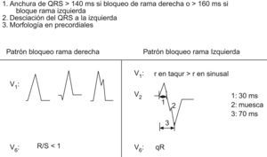Criterios morfológicos clásicos.