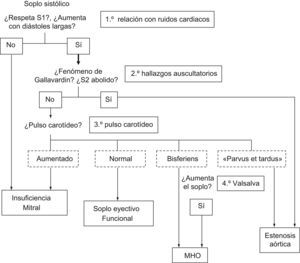 Ante el hallazgo exploratorio de un soplo sistólico debemos valorar escalonadamente, su relación con los ruidos cardiacos, la presencia de algunos hallazgos auscultatorios característicos y si la maniobra de Valsalva modifica la intensidad del soplo. Estos datos junto a las características del pulso carotideo nos permiten acercarnos al origen del soplo. MHO: miocardiopatía hipertrófica obstructiva.