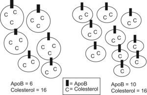 Esquema ilustrativo de la diferencia entre el colesterol de las partículas aterogénicas y el número de partículas (apo B).