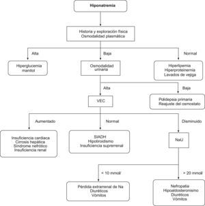 Algoritmo diagnóstico de la hiponatremia.