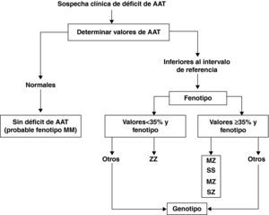 Algoritmo diagnóstico en el déficit de alfa-1 antitripsina (AAT). Tomada de Vidal et al.30