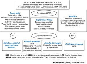 Algoritmo diagnóstico para el cribado de la hipertensión arterial secundaria.