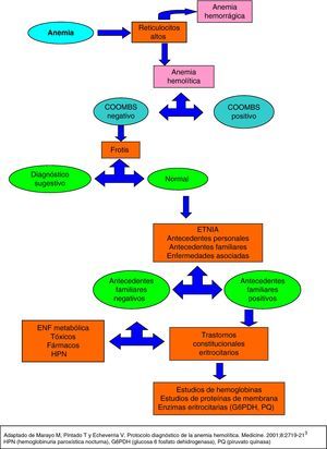 Algoritmo diagnóstico de anemia hemolítica.