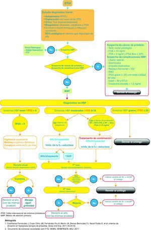 Algoritmo de decisión diagnóstica y terapéutica.