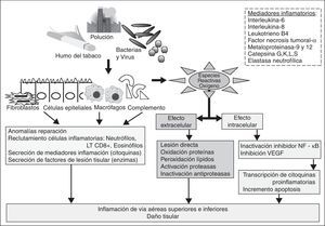 Etiopatogenia de las agudizaciones de la enfermedad pulmonar obstructiva crónica.