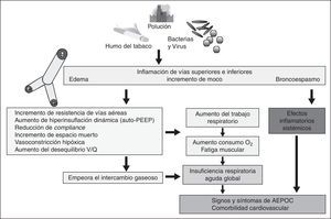 Cambios fisiopatológicos de las agudizaciones de enfermedad pulmonar obstructiva crónica.