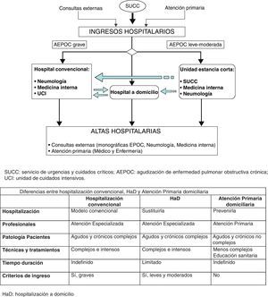 Nivel organizativo de posibilidades de hospitalización para agudización de EPOC. Puertas de entrada y flujos.