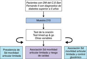 Distintas fases del estudio.