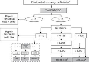 Algoritmo de detección de prediabetes y diabetes. Cribado en dos etapas (II). GB: glucemia basal (mg/dl); GBA: glucemia basal alterada; ITG: intolerancia oral a la glucosa; TTOG: test de tolerancia oral a la glucosa (mg/dl). 1. Repetir GB cada año si prediabetes o FINDRISC ≥ 15 puntos. 2. Considerar el TTOG especialmente en pacientes que han sufrido recientemente un evento coronario agudo. 3. Repetir GB y HbA1c cada año si prediabetes. 4. Confirmar en dos ocasiones. *Riesgo de diabetes: antecedente de hiperglucemia previa o factores de riesgo elevado para desarrollar diabetes (ver tabla 2).