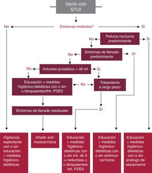 Algoritmo de tratamiento médico en varones con STUI sin indicación de cirugía. Adaptado de Gravas et al.5