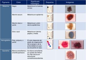 Pigmentación y color en dermatoscopia.
