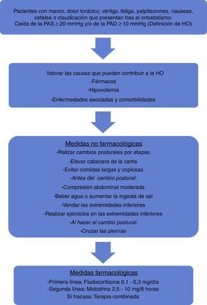 Algoritmo del tratamiento de los sujetos con hipotensión ortostática. HO: hipotensión ortostática; PAD: presión arterial diastólica; PAS: presión arterial sistólica.