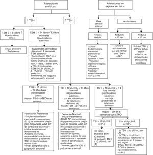 Algoritmo de actuación y derivación de la enfermedad tiroidea entre Atención Primaria y especializada.