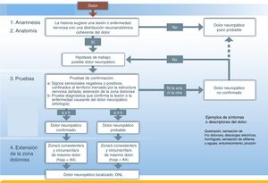 Herramienta de detección del dolor neuropático localizado.Fuente: adaptado de Treede et al.1.