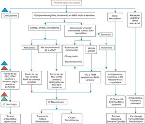 Sospecha clínica y conducta en pacientes adultos con antecedentes de espina bífida con algún tipo de manifestación neurológica. Niveles de atención28: I: Resuelve necesidades de atención básica y efectúa actividades de promoción de salud, prevención y procedimientos de recuperación y rehabilitación de la enfermedad. II: Se refiere a hospitales y establecimientos donde se prestan servicios relacionados a la atención en medicina interna, pediatría, gineco-obstetricia, cirugía general y psiquiatría. III: Se refiere a la atención de patologías complejas que requieren procedimientos especializados y de alta tecnología.