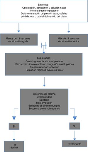 Algoritmo diagnóstico en las rinosunusitis.