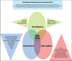 Propuesta de «descriptores» de dolor crónico para la IASP. Fuente: adaptada de Freynhagen et al.5.